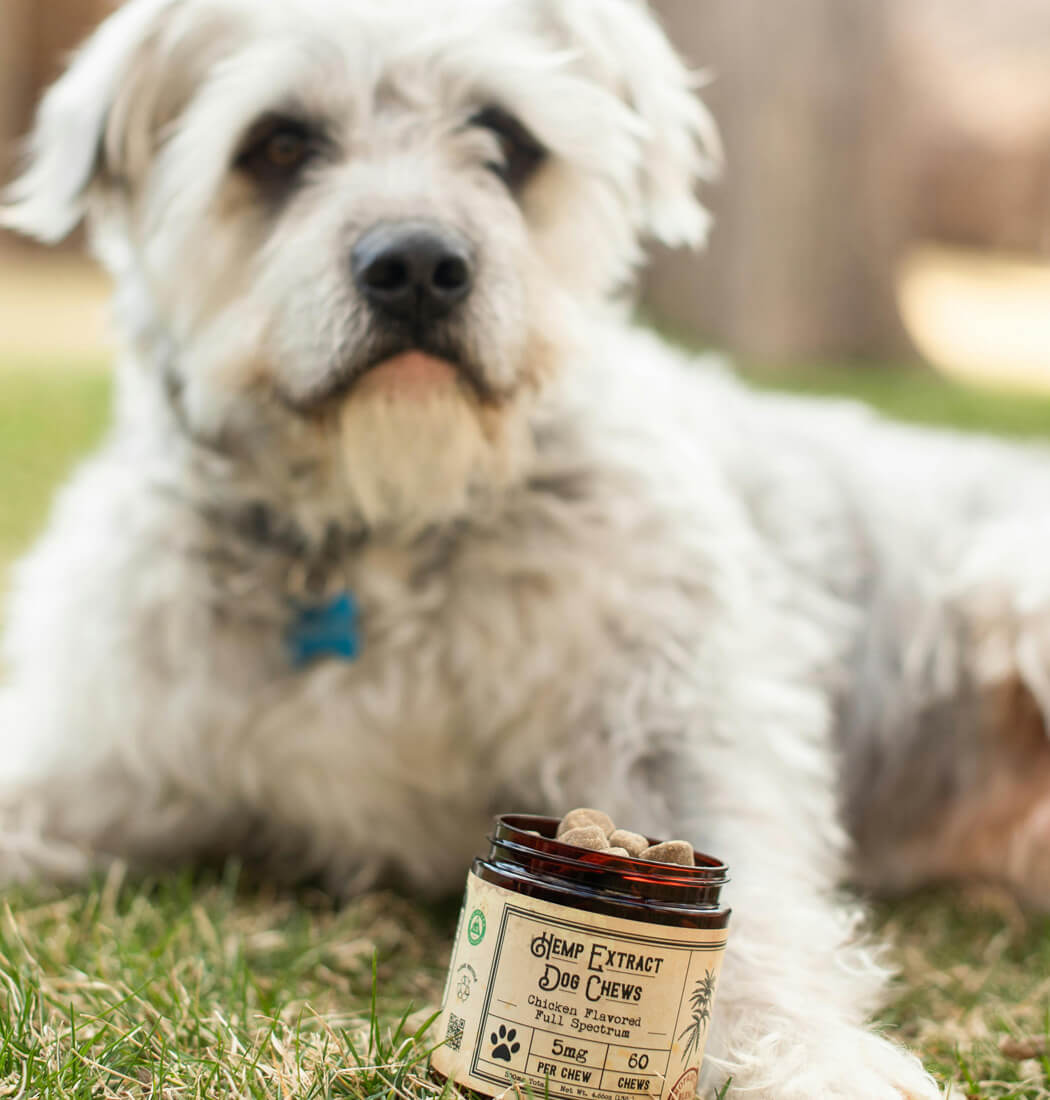 BarkBite Dental Chews