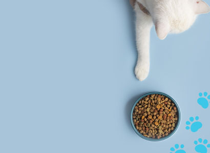  Pet Food & Accessories