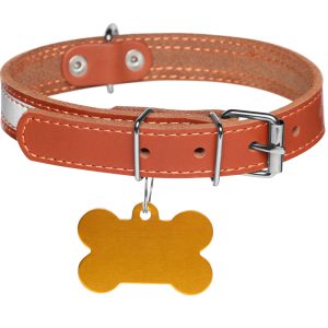 PawCharm Adjustable Collar
