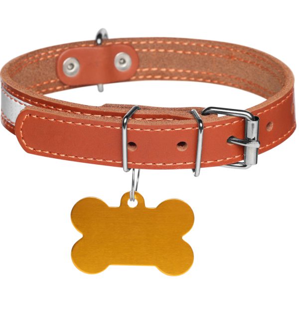 PawCharm Adjustable Collar