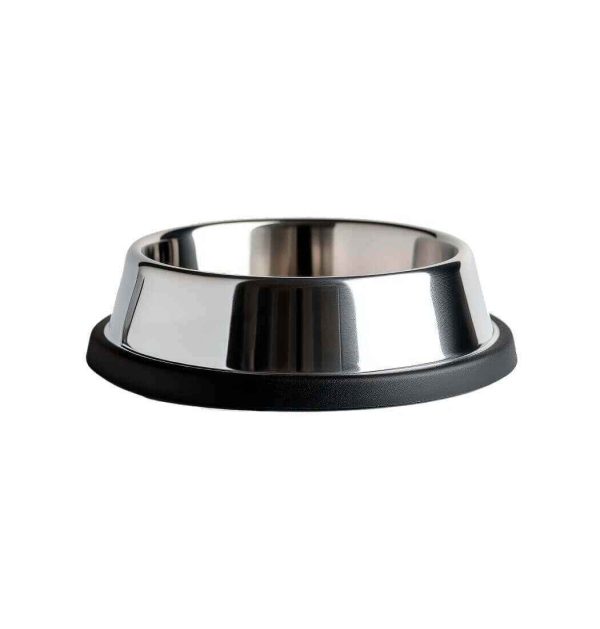 PawPlate Pet Feeder