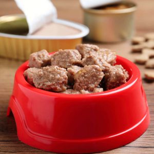 NutriPaws Premium Kibble