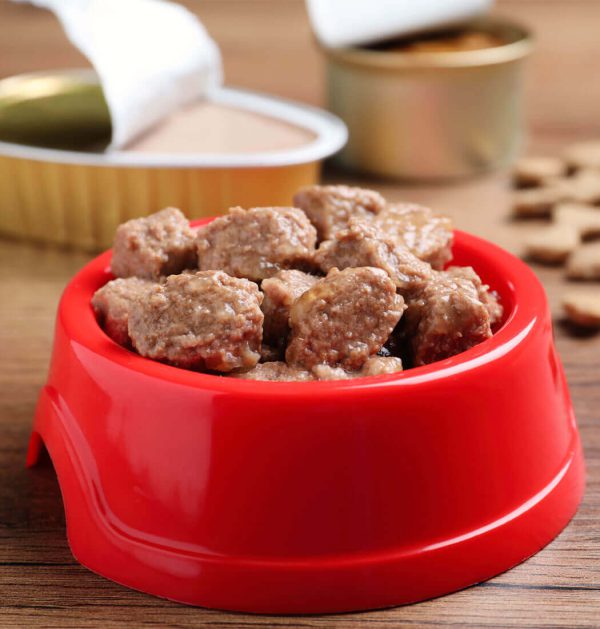 NutriPaws Premium Kibble