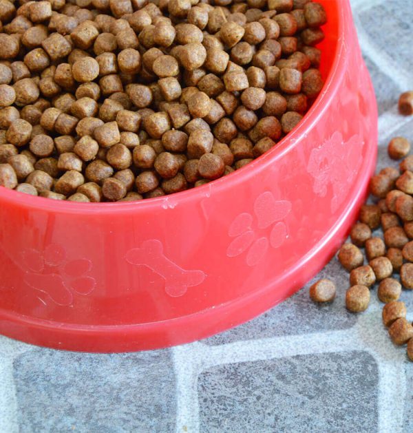 NutriPaws Premium Kibble - Image 3