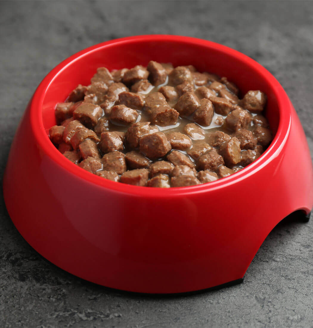 NutriPaws Signature Bites
