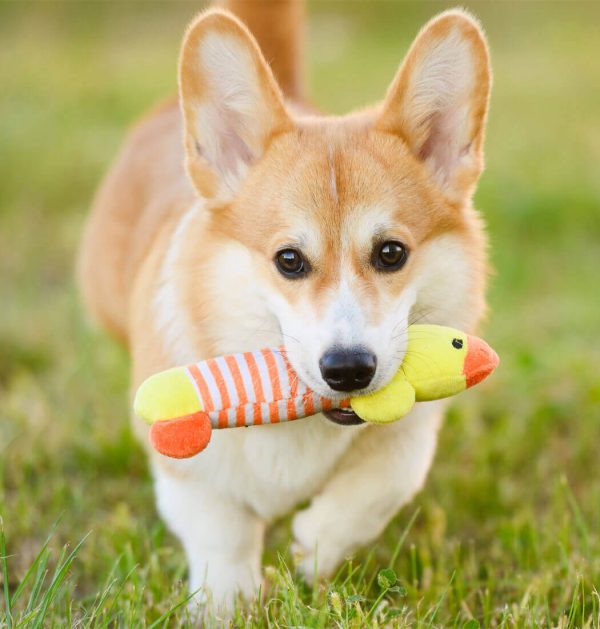 TugTail Rope Chew - Image 2