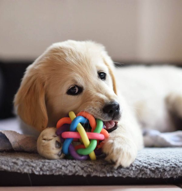 TugTail Rope Chew - Image 3