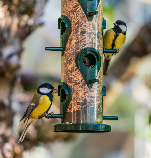 Feast Premium Bird Mix - Image 4