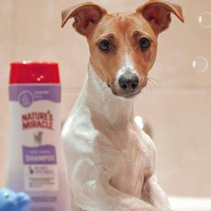 Pawfect Care Shampoo