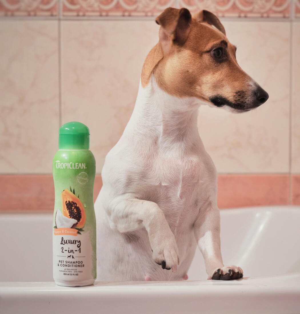 Pawfect Care Shampoo